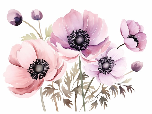 Illustration eines Blumenstraußes von Anemonenblumen in rosaförmigen Farben auf weißem Hintergrund isoliert