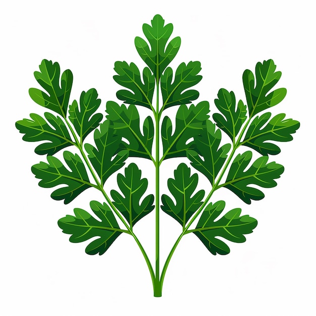 Foto illustration in flachem ikonen-logo eines zweigs von aromatischem, scharfem grün