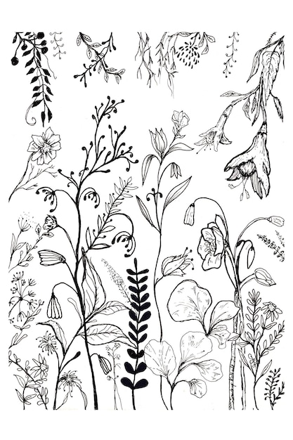Illustration verschiedener handgezeichneter botanischer Skizzen in schwarzer Tinte einzigartiger Formen und Formen