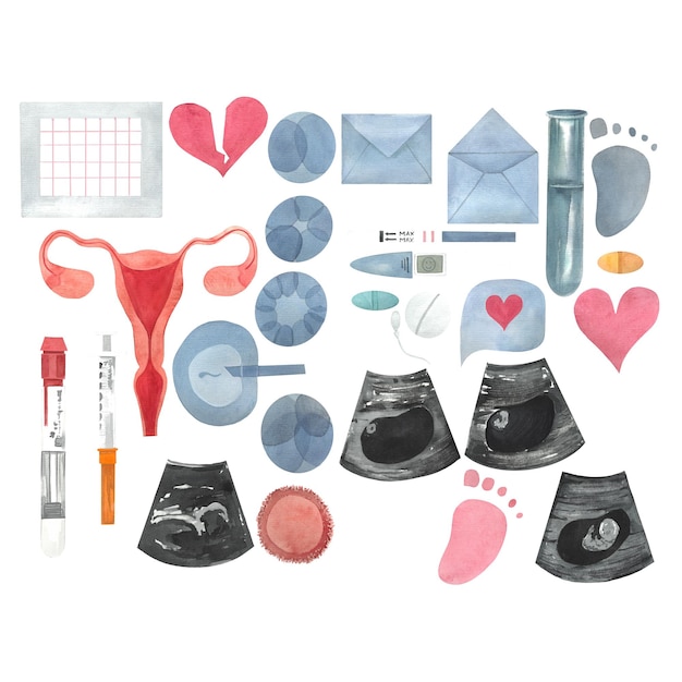 Illustration zum Thema IVF-Fertilisation Gesundheit der Frauen Familienplanung Bilder für Gynäkologen und Reproduktionsspezialisten mit Aquarell