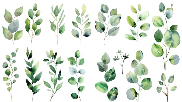 Illustrationssatz Sammlung von tropisch grünem Eukalyptusgrün im Aquarell-Stil, generiert von KI