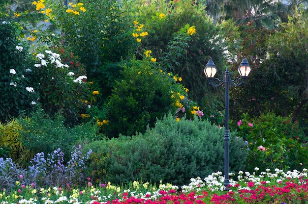 Iluminação de rua de lanternas em flores do parque