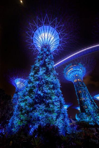 Iluminação noturna mostra luz no jardim da Baía