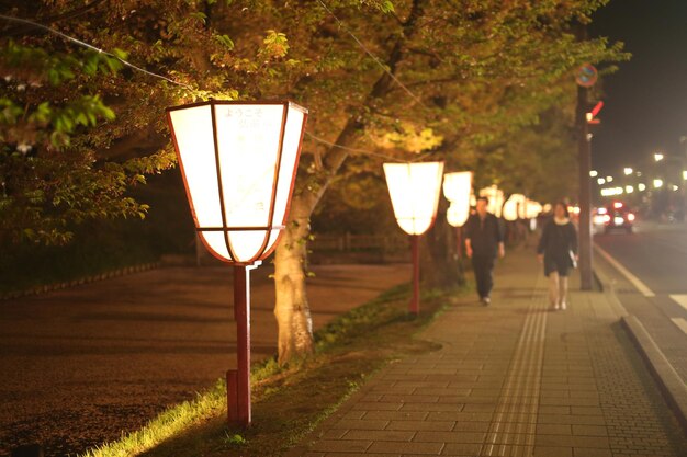 Foto iluminación de la calle en el sendero por la noche