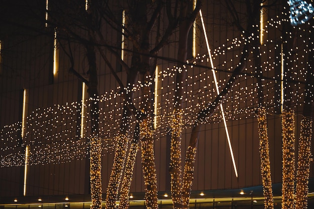 Iluminaciones decorativas navideñas en la calle nocturna.