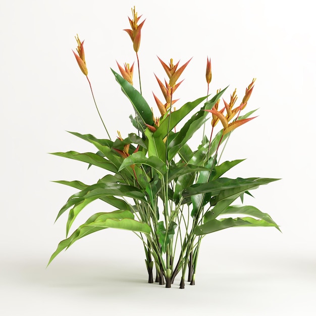 ilustração 3D da árvore strelitzia isolada no fundo branco