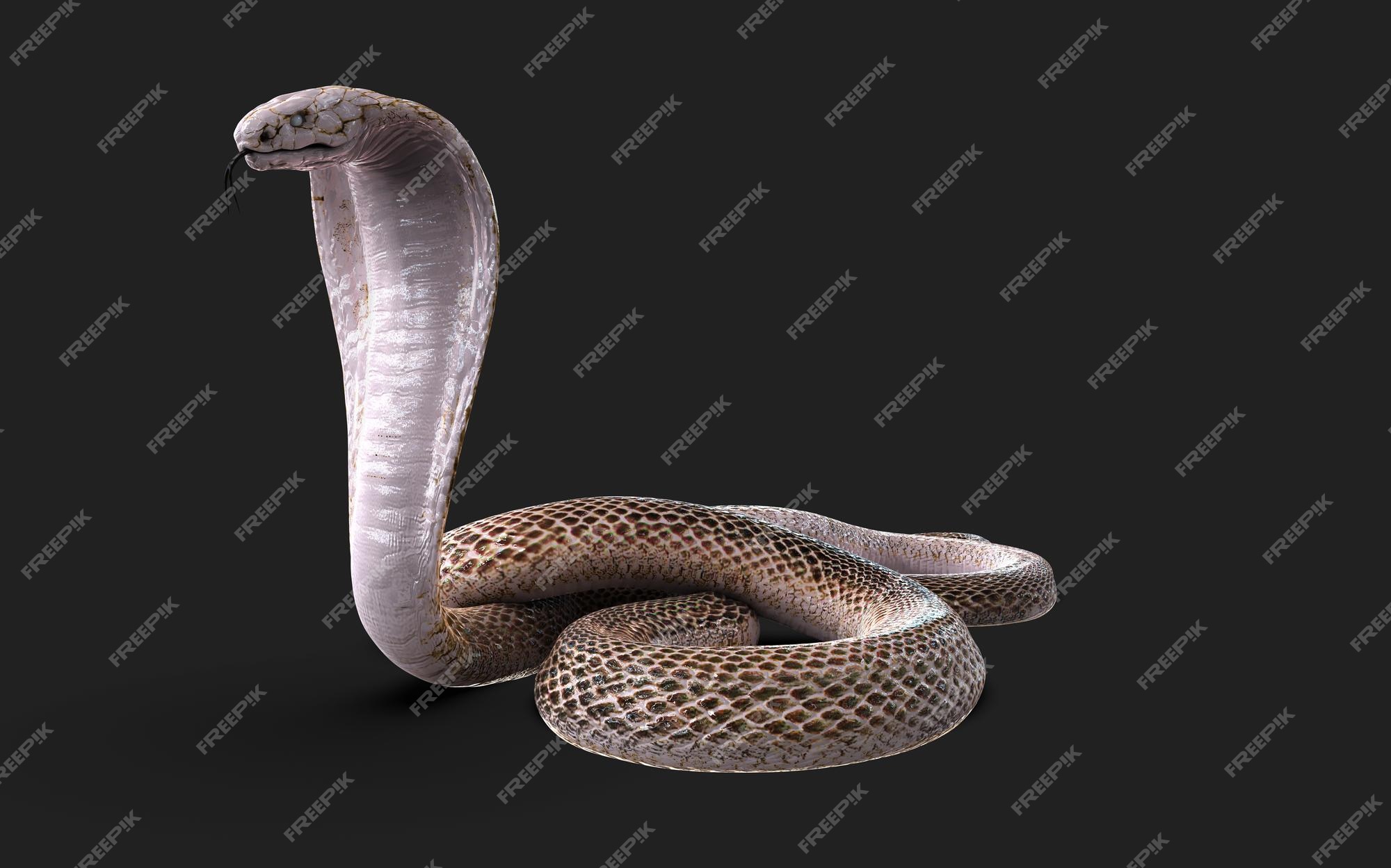 Cobra Da Serpente 3D Isolada Em Um Branco Ilustração Stock