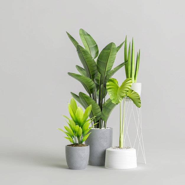 Ilustração 3d da coleção de plantas de casa isolada no fundo branco