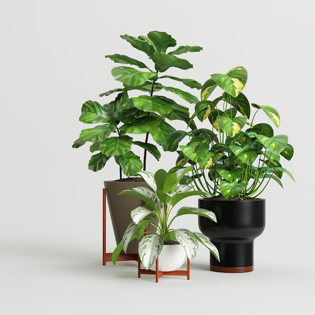 ilustração 3D da coleção de plantas de casa isolada no fundo branco