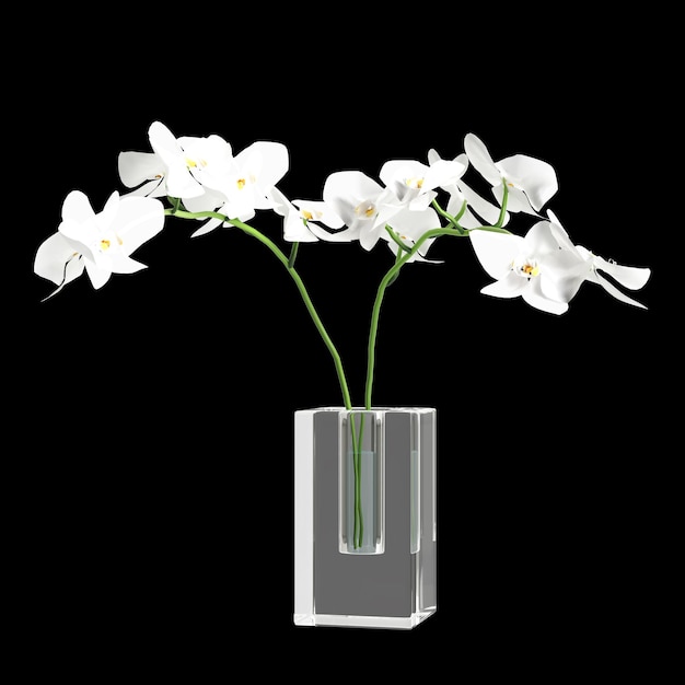 Ilustração 3d da decoração do vaso de flores no espaço interior isolado em fundo preto