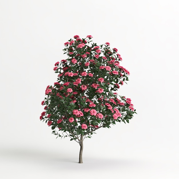 ilustração 3D da flor camélia sasanqua isolada em branco e sua máscara