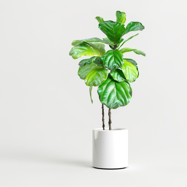 Foto ilustração 3d da planta de casa em vaso isolado no fundo branco