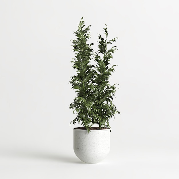 ilustração 3D da planta de casa em vaso isolado no fundo branco