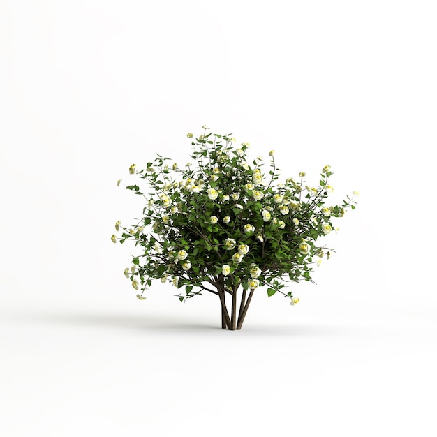 ilustração 3D de arbusto e flor isolada no fundo branco
