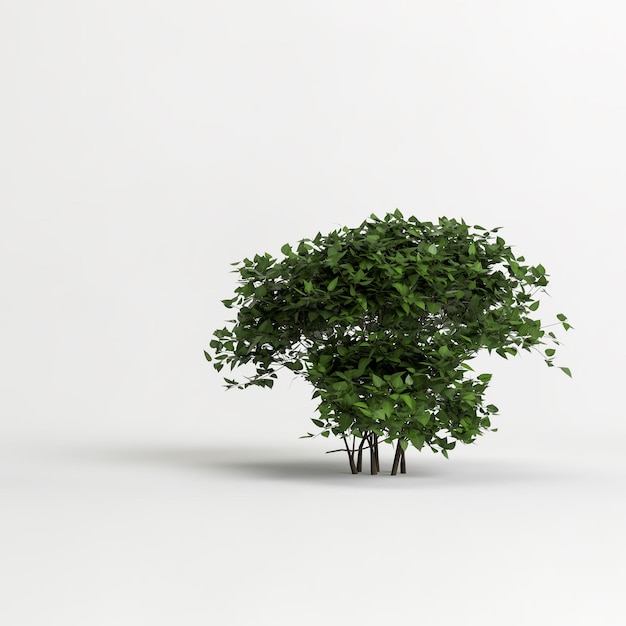 ilustração 3D de arbusto isolado no fundo branco