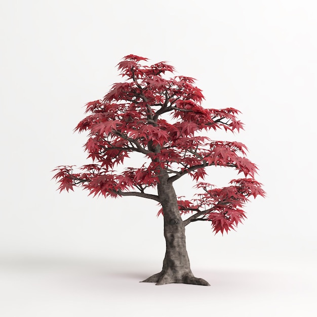 Foto ilustração 3d de bonsai de acer palmatum isolado em branco e sua máscara