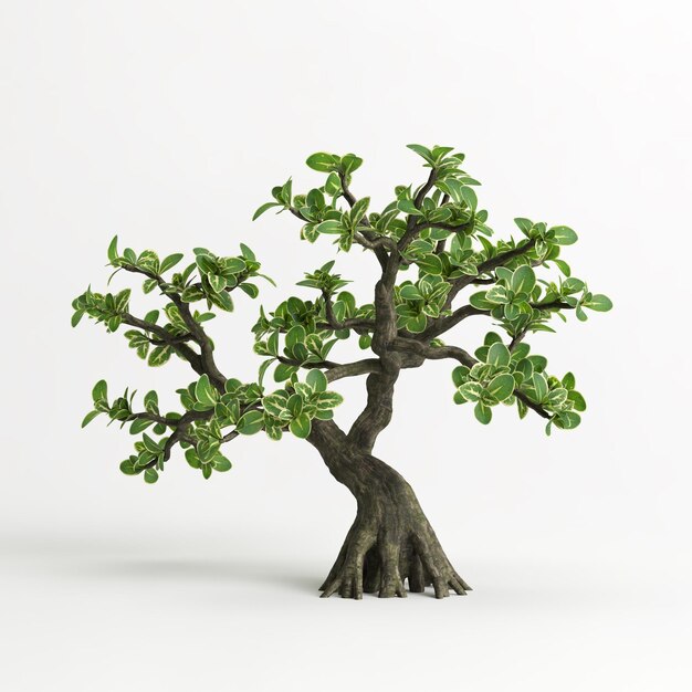 Ilustração 3d de bonsai serissa japonica isolado em branco e sua máscara