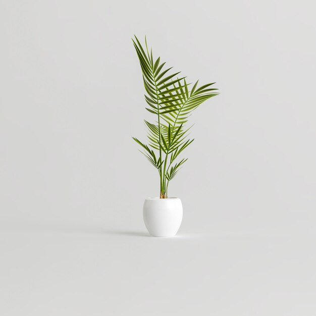 ilustração 3D de plantas de casa de cerâmica isoladas no fundo branco