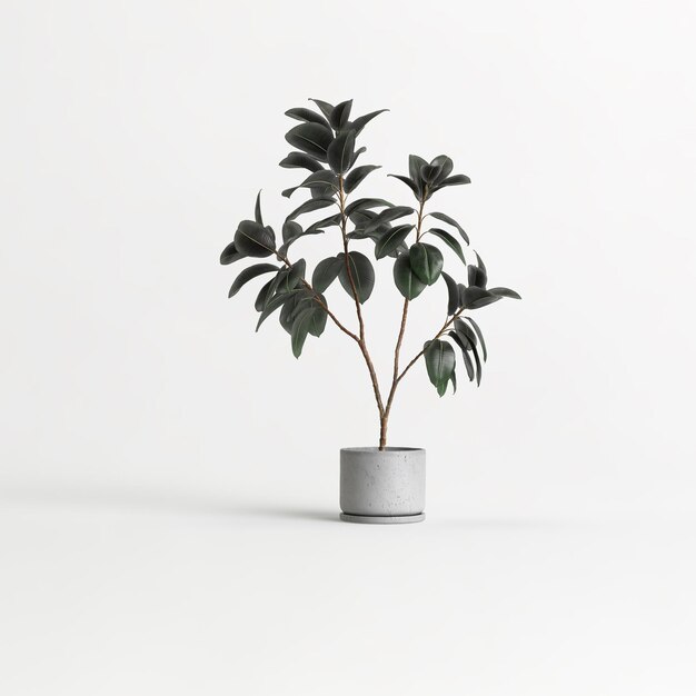 ilustração 3D de plantas de casa de concreto isoladas no fundo branco