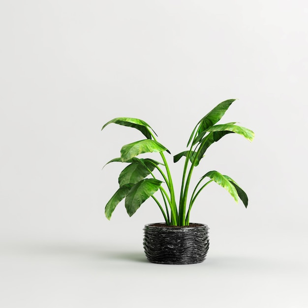 ilustração 3D de plantas de casa de pedra isoladas no fundo branco