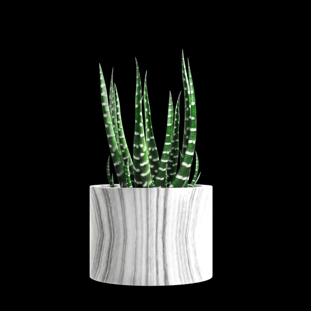 ilustração 3D de plantas de casa isoladas em fundo preto