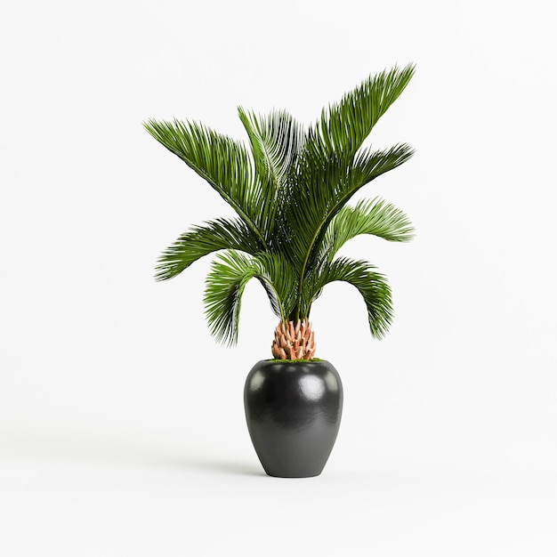 ilustração 3D de plantas de casa pretas isoladas no fundo branco