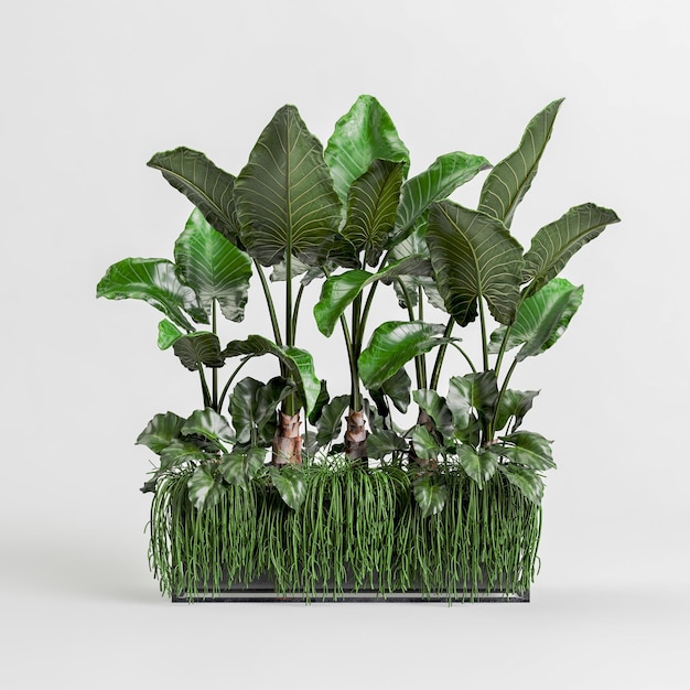ilustração 3D de um vaso de plantas isolado no fundo branco