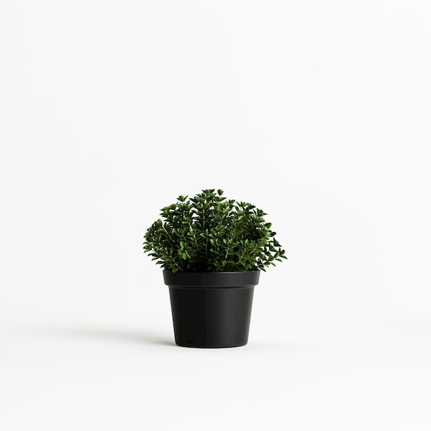 ilustração 3D de um vaso de plantas isolado no fundo branco