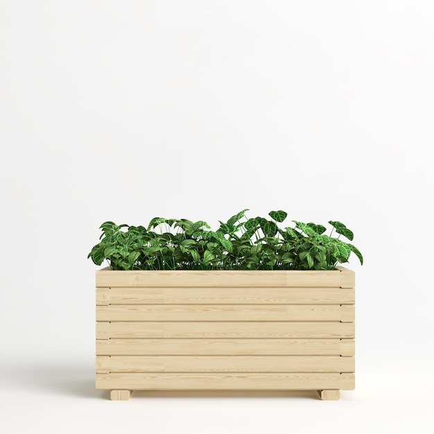 Foto ilustração 3d de vasos de plantas isolados no fundo branco