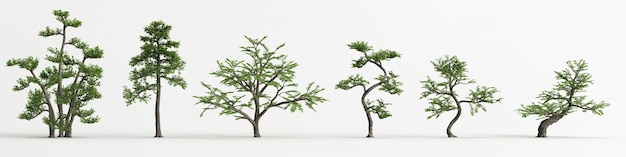 ilustração 3D do conjunto de bonsai de Zanthoxylum piperitum isolado em branco e sua máscara