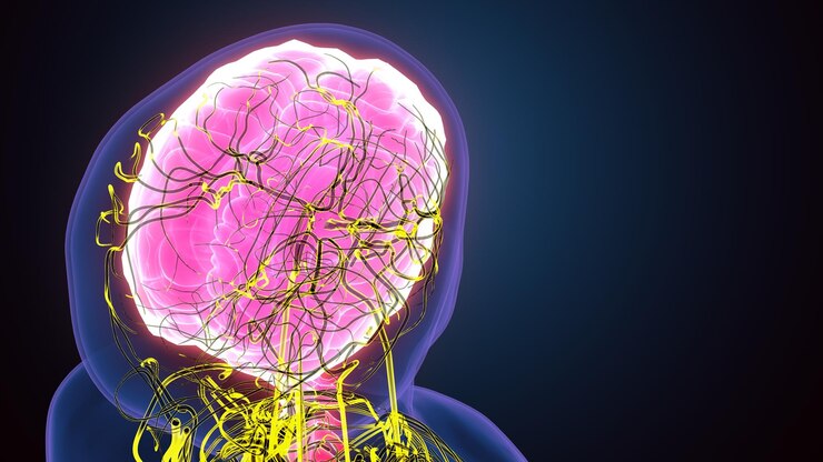 Foto ilustração 3d do esqueleto do corpo humano masculino com anatomia do sistema nervoso cerebral