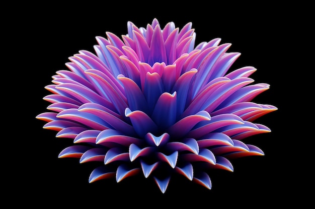 Ilustração 3D em close-up de uma delicada peônia rosa-roxa ou flor de crisântemo florescendo em um fundo preto isolado