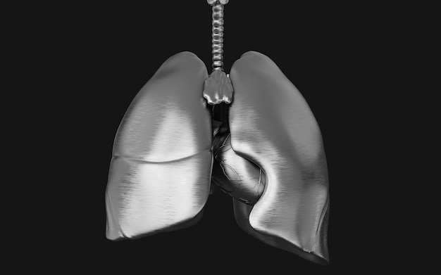 Foto ilustração 3d o ferro pulmonar humano e o sistema respiratório ncov nos mundos ilustração concep