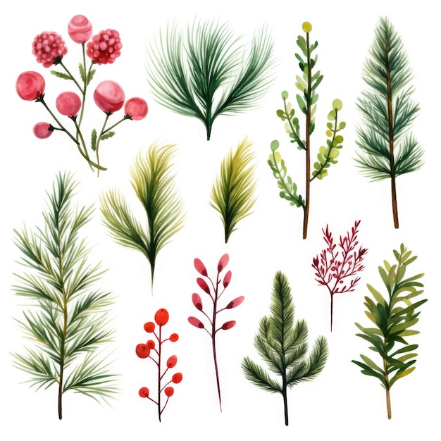 Ilustração botânica festiva de Natal