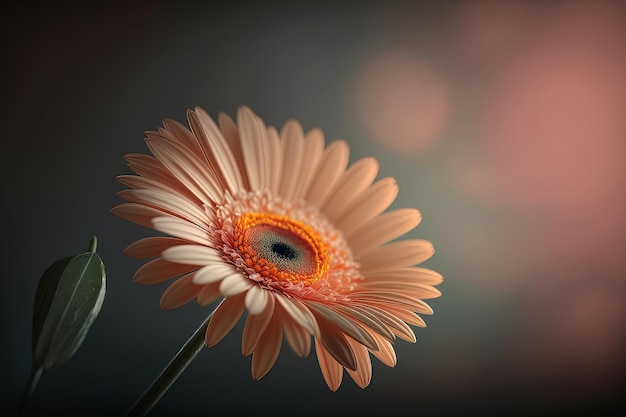 Ilustração colorida laranja natural da flor Gerbera AI Generative