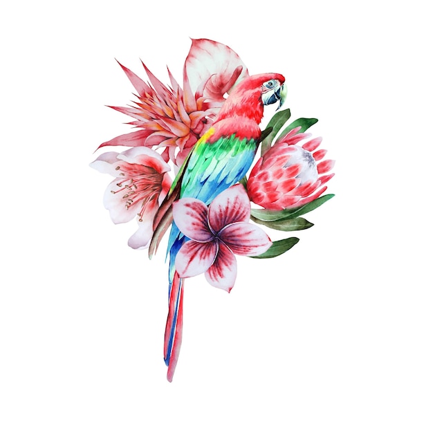 Ilustração com papagaio tropical e flores. ilustração em aquarela. desenhado à mão.