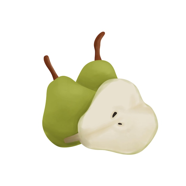 Ilustração da fruta tropical da pêra