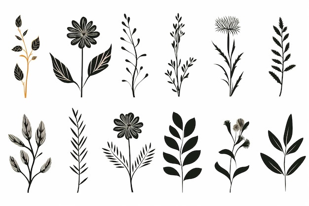 ilustração de 10 ícones planos minimalistas diferentes para ilustração floral