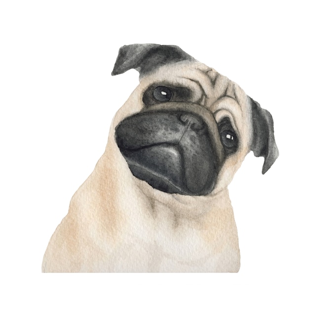 Foto ilustração de aquarela de raça de cão pug