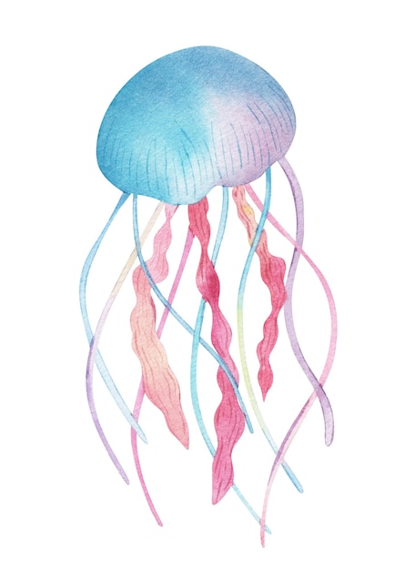 Ilustração de aquarela rosa azul brilhante de água-viva desenhada à mão pequena criatura colorida do aquário de água-viva tropical isolada no fundo branco Água salgada exótico cavalo-marinho peixe