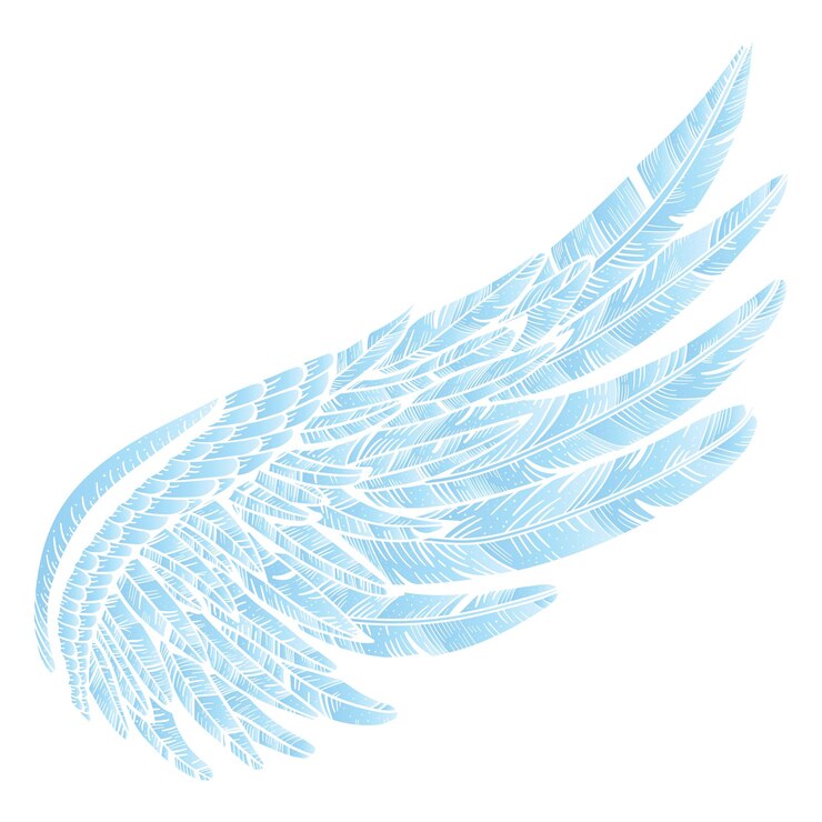 Foto ilustração de asa png fundo transparente
