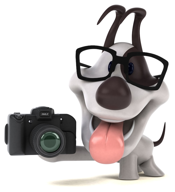 Foto ilustração de cachorro divertido