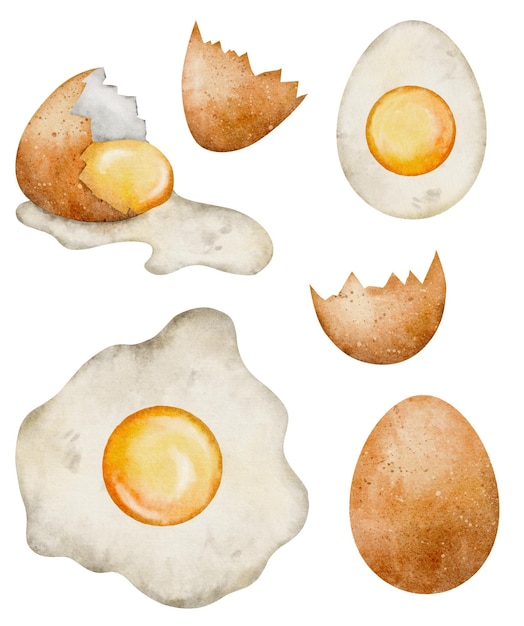 Ilustração de comida de ovo cru dourado em aquarela isolada no fundo branco