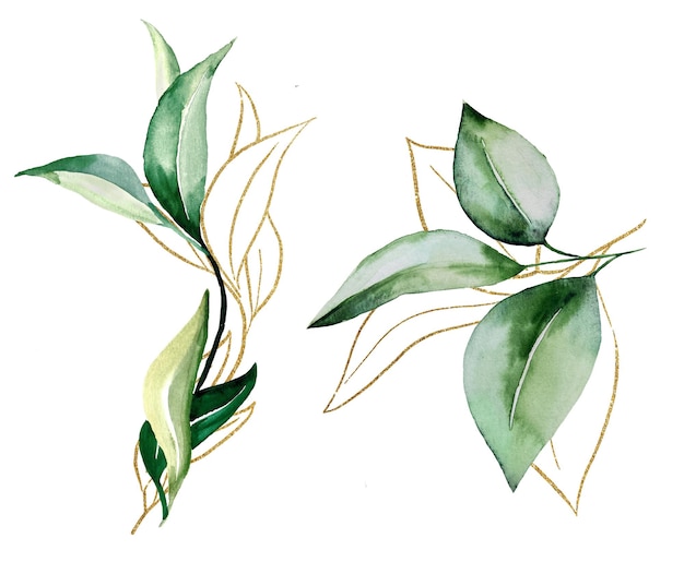 Ilustração de folhas botânicas de aquarela verde e dourada Elemento elegante para cartões de saudação de design de casamento e local de criação para texto