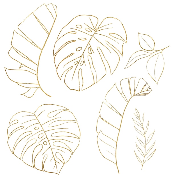 Foto ilustração de folhas tropicais de banana e monstera de contornos dourados. elemento elegante para design de casamento, cartões de felicitações e artesanato, lugar para texto