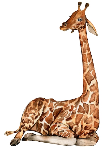 Ilustração de girafa em aquarela Animal tropical de desenho animado