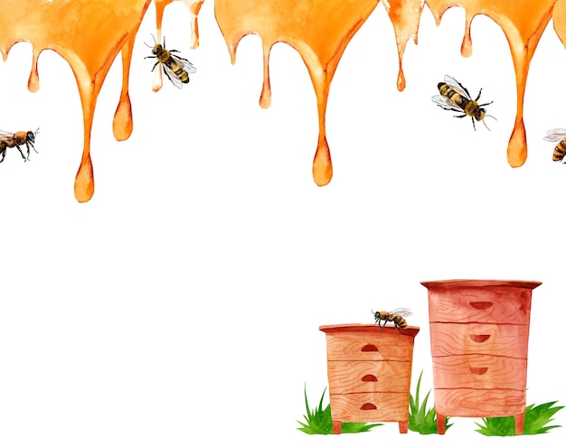 Ilustração de mel Banner horizontal horizontal em aquarela com listras de mel marca de mel