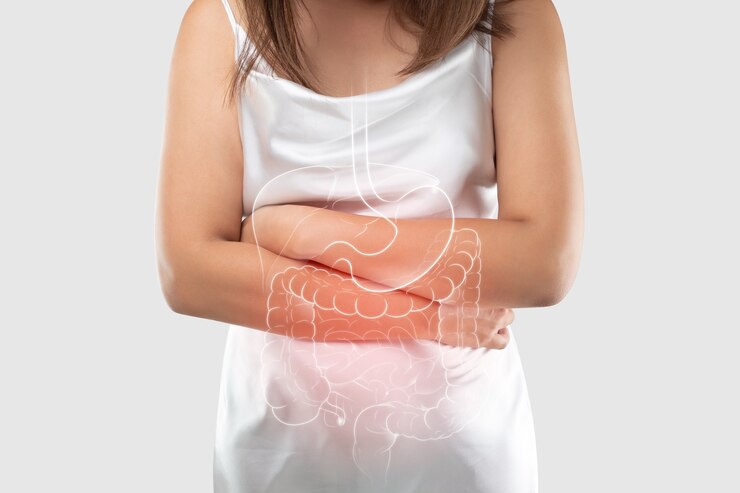Ilustração de órgãos internos no corpo da mulher contra o cinza
