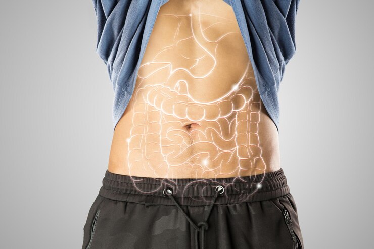 Ilustração de órgãos internos no corpo masculino contra um fundo cinza claro