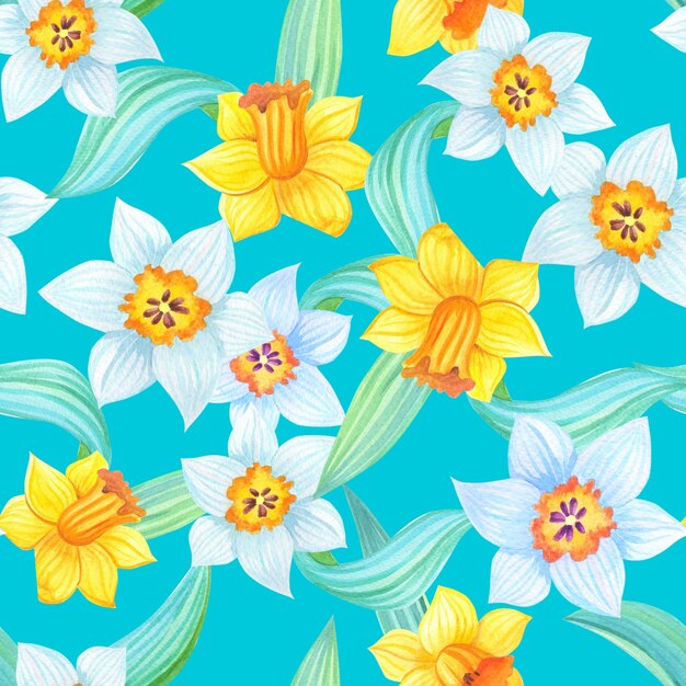 Ilustração de primavera com narcisos amarelos e brancos em azul